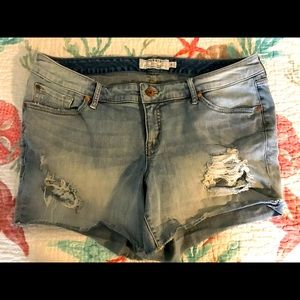 Torrid Denim Ripped with Lace Shorts